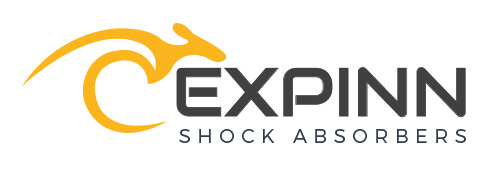 Expinn logosu