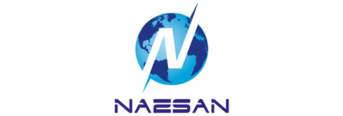 Naesan logosu